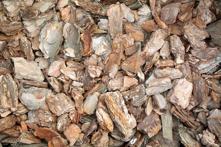 bark chips