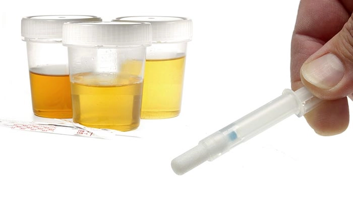 best synthetic urine brands
