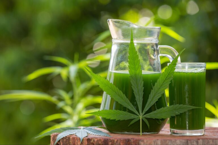 Best THC detox