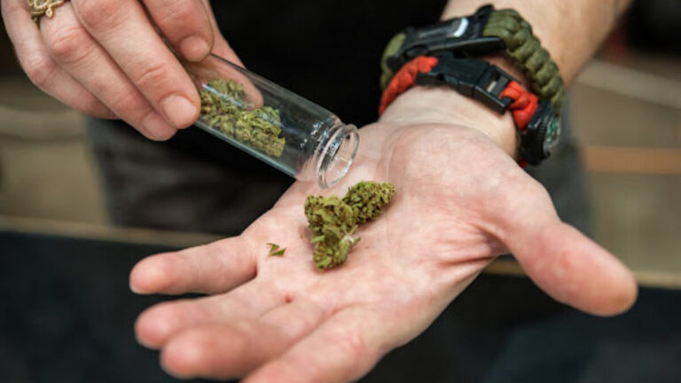 Top thc brands recommended by theislandnow.com