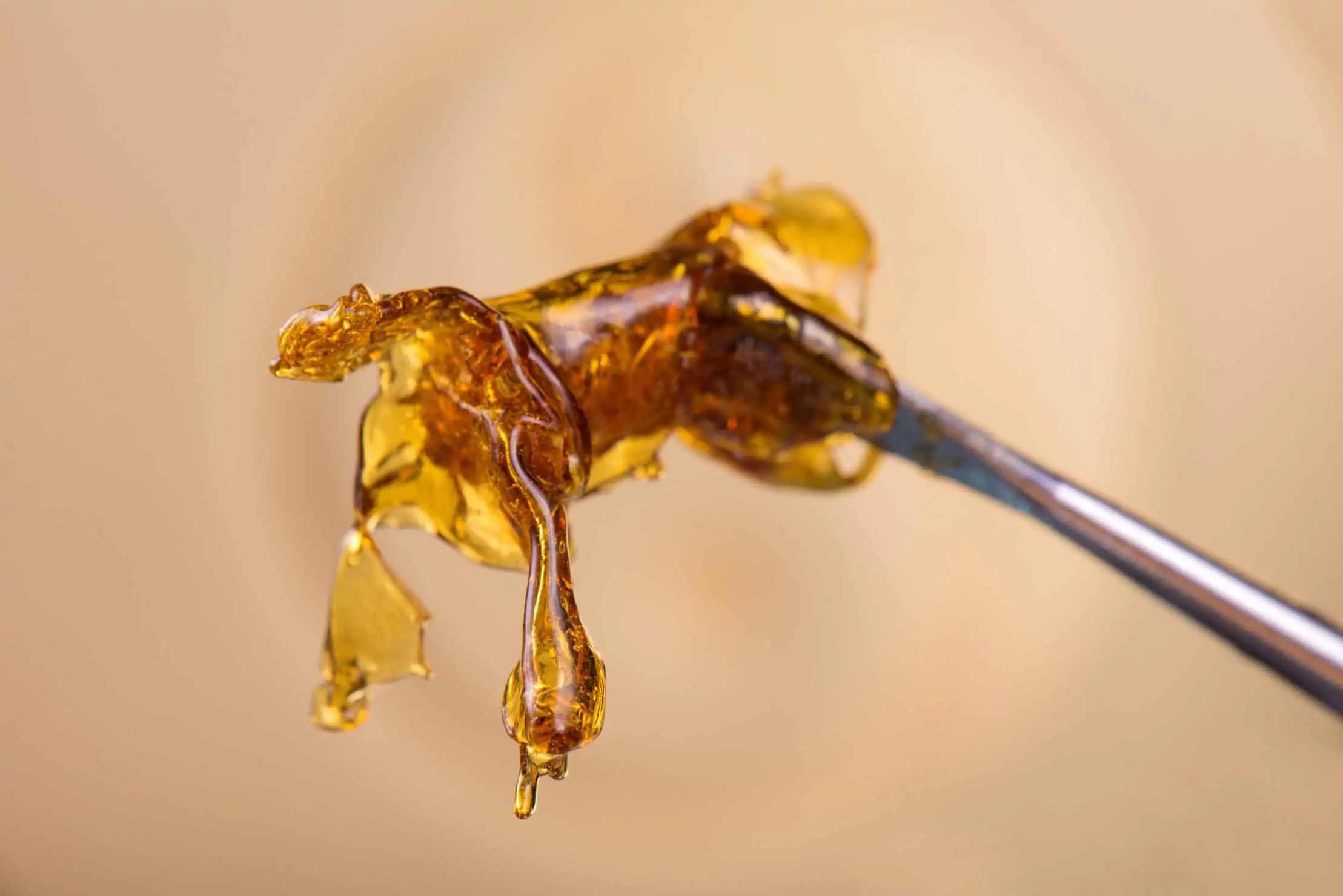 Learn Everything You Need to Know About Delta 8 THC Wax when You Discover It